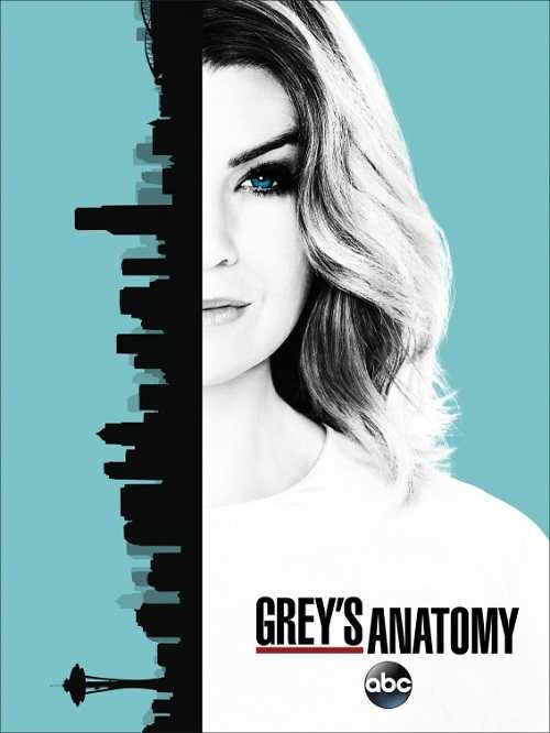 مسلسل Greys Anatomy الموسم 13 الحلقة 12