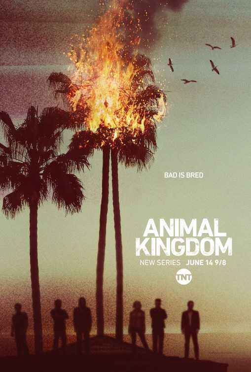 مسلسل Animal Kingdom الموسم الاول الحلقة 10 الاخيرة