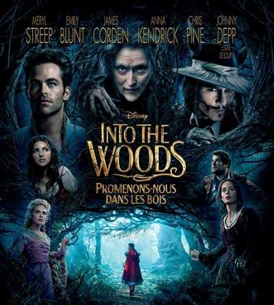 مشاهدة فيلم Into the Woods 2014 مترجم