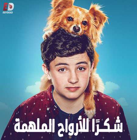 مسلسل The Healing Powers of Dude الموسم الاول كامل