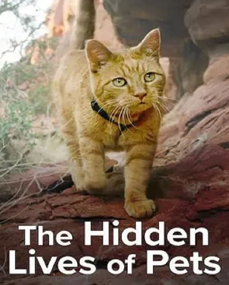 مسلسل The Hidden Lives of Pets الموسم الاول الحلقة 4 مترجمة