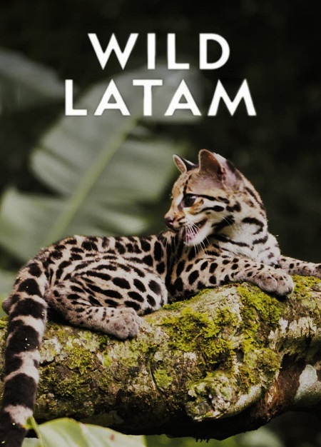 مسلسل Wild Latam الموسم الاول الحلقة 7 مترجمة