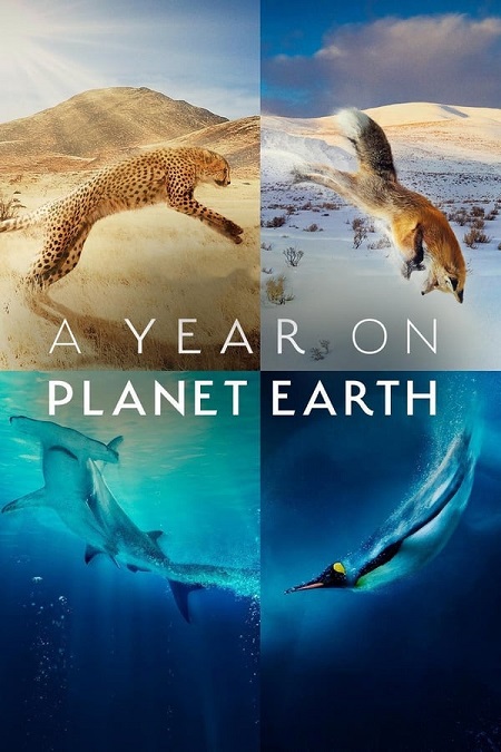 مسلسل A Year on Planet Earth 2022 مترجم كامل