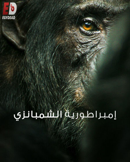 مسلسل Chimp Empire 2023 مترجم كامل