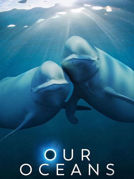 مسلسل Our Oceans الحلقة 4 مترجمة