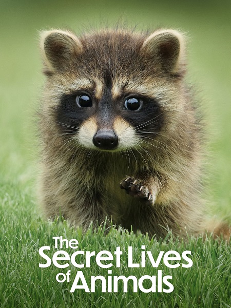 مسلسل The Secret Lives of Animals الموسم الاول الحلقة 2 مترجمة